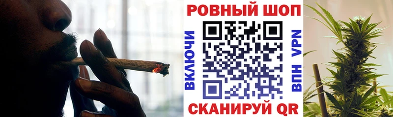 ГАШ Шенкурск