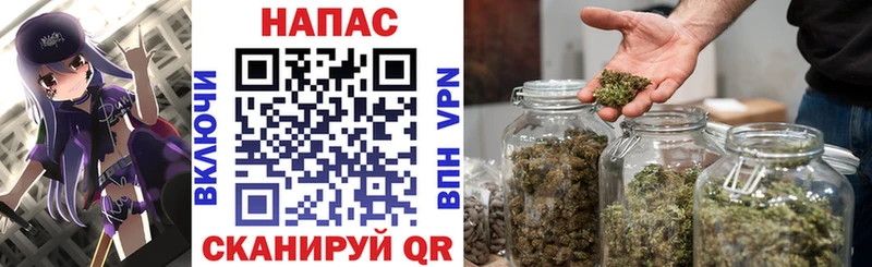 Марихуана Bruce Banner  Шенкурск 